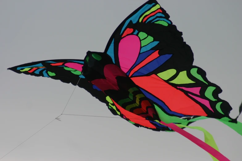 a colorful erfly kite flying through the air