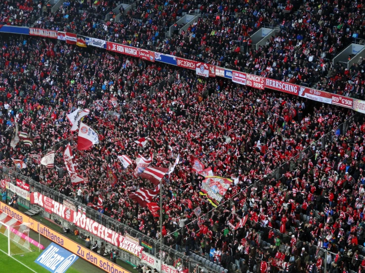 the fans are watching the soccer match together