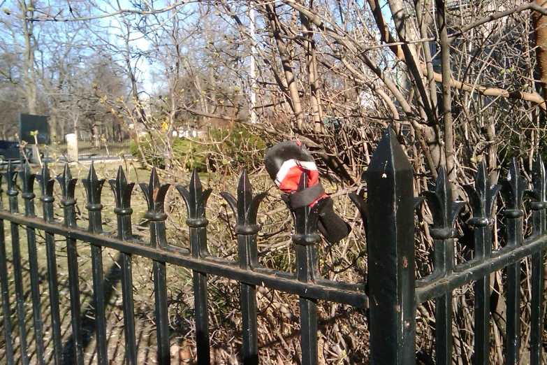 there is a black gate that has a bird in it