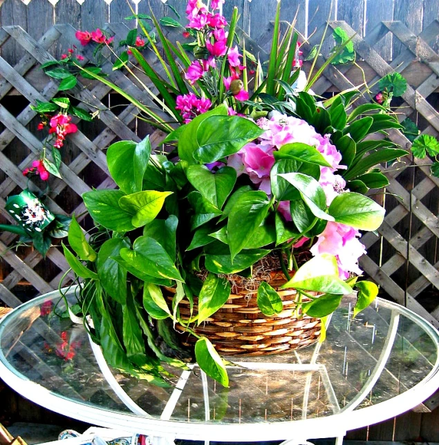 a basket of purple flowers sits on a glass table