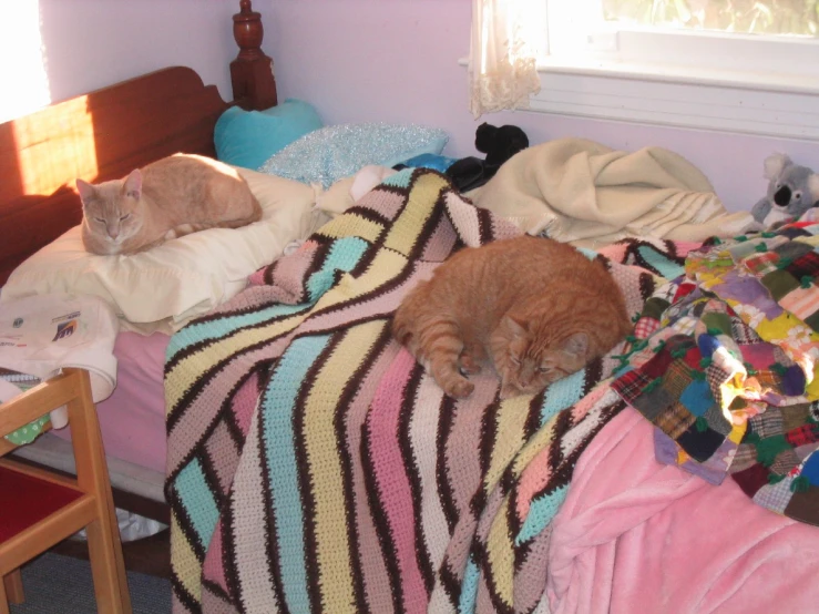 two cats lying on a messy bed next to blankets