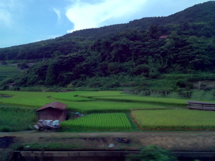 a green landscape with a large area with a house on top