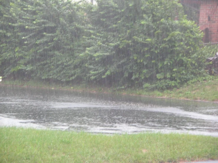 a water main in the middle of a grass field next to trees