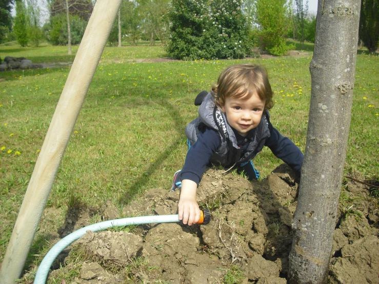 young child climbing down a tree in the garden