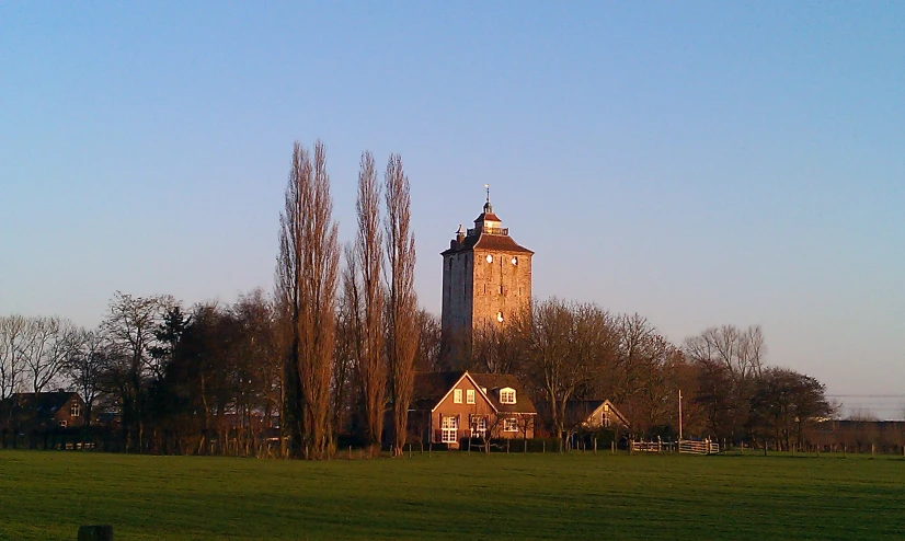 a large clock tower towering over a lush green field