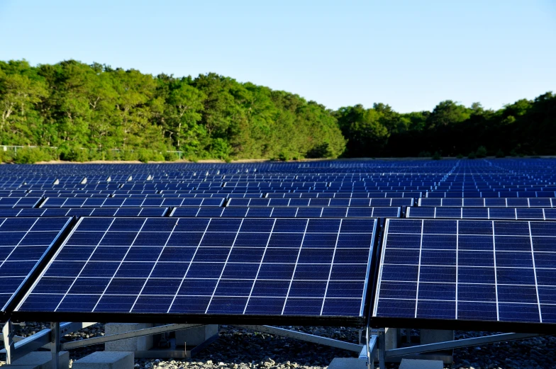 a field with lots of solar panels in it