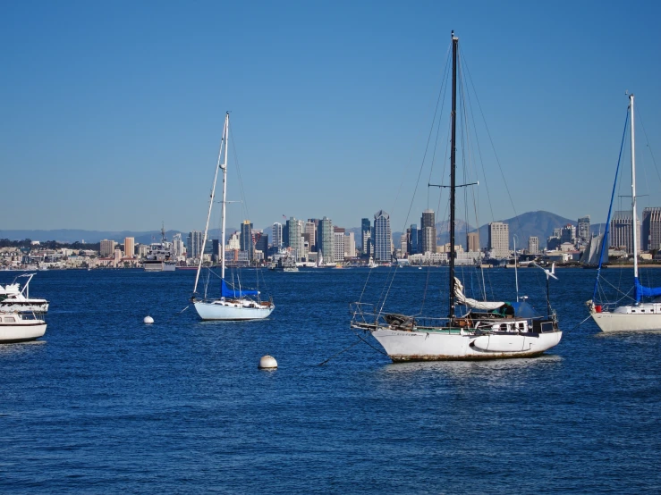 three sailboats in the ocean with a city in the background