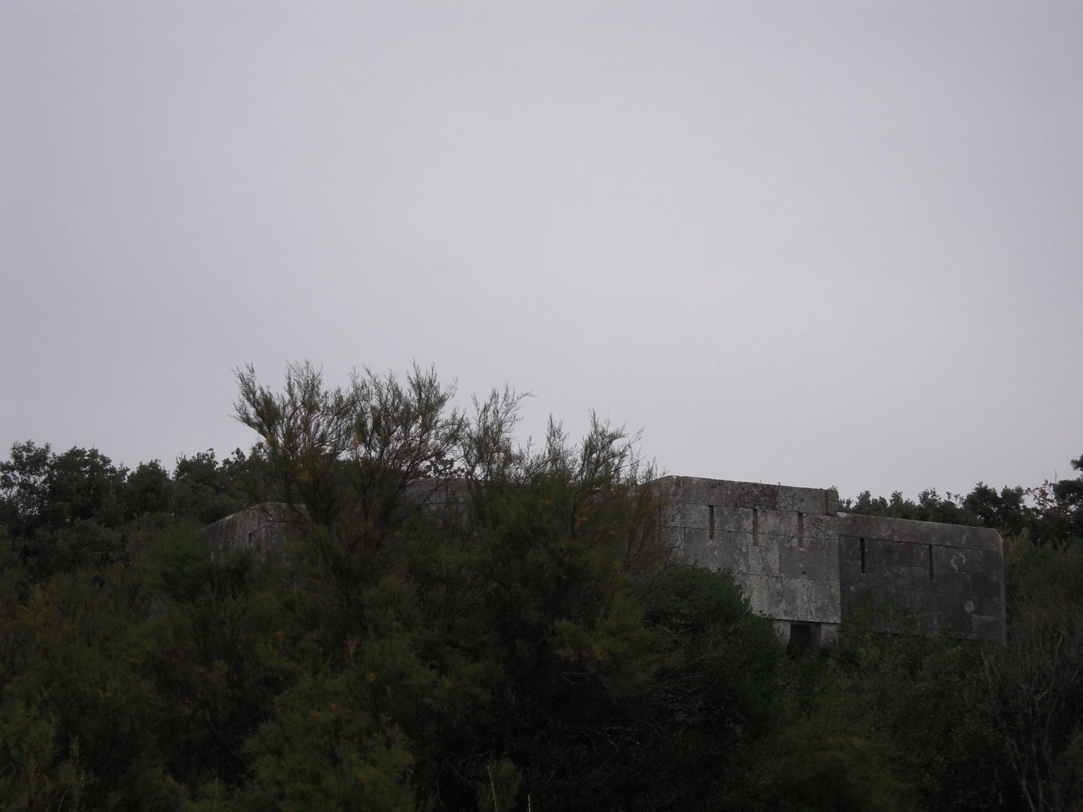 a concrete structure in the woods that looks very small