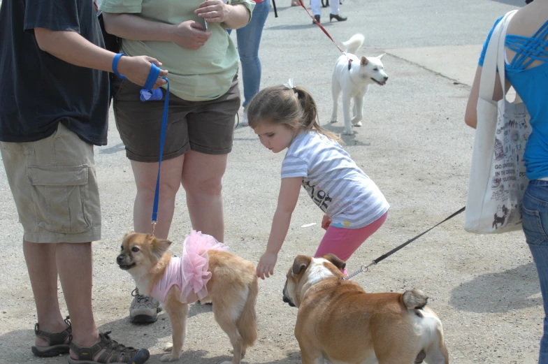 two children, a woman and three dogs on leashes