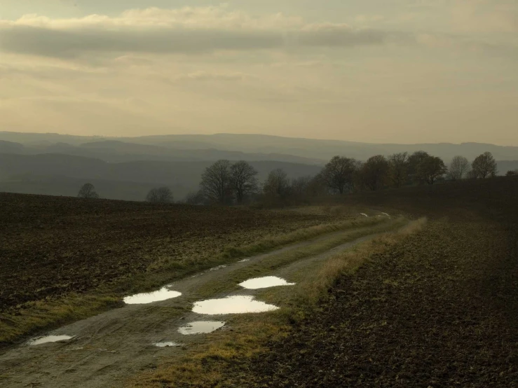 a road that has some dles of water on the side