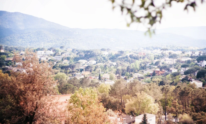 a city with many trees on the side of it