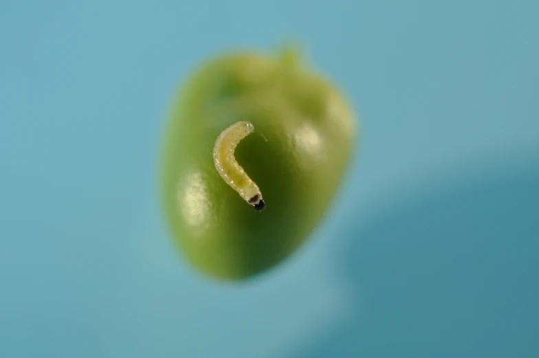 a green pepper has been cut in half