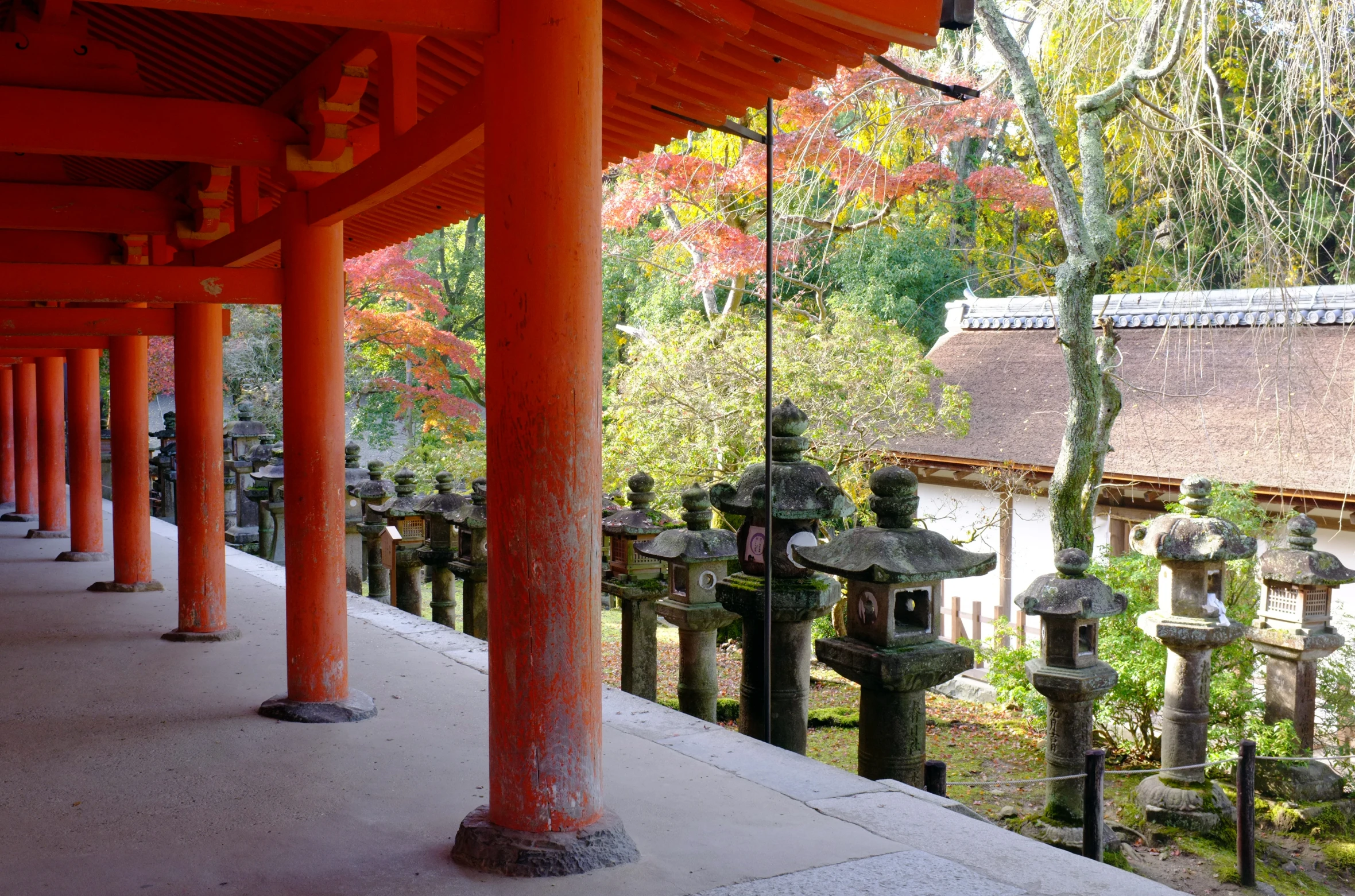 several stone lanterns in a large open courtyard