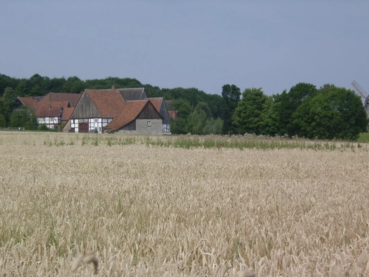 an old house in a field of tall dry grass