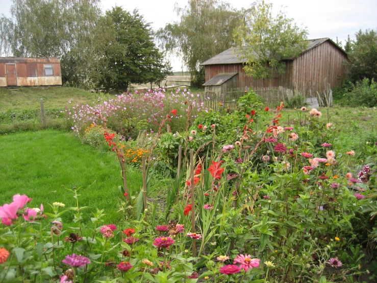 various colorful flowers grow in the yard next to a fence