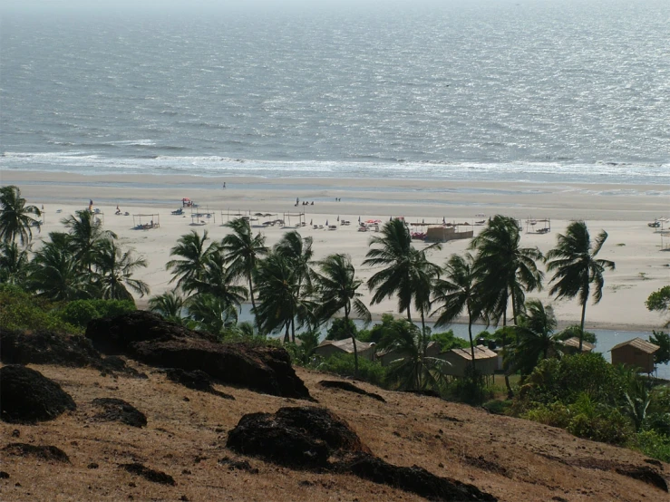 a beach next to the ocean with palm trees in the background