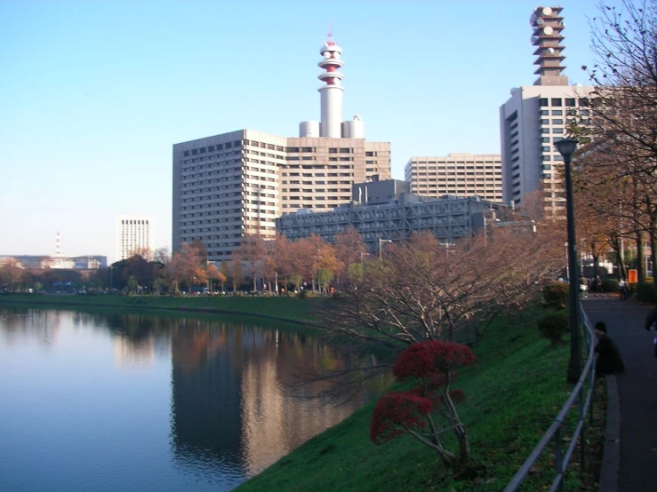 buildings at the edge of the lake surrounded by grass