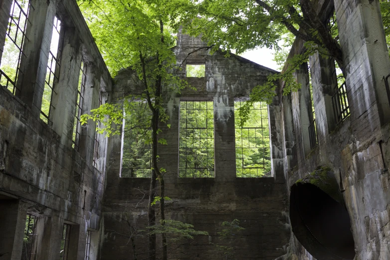 an old house with green vines growing over the windows