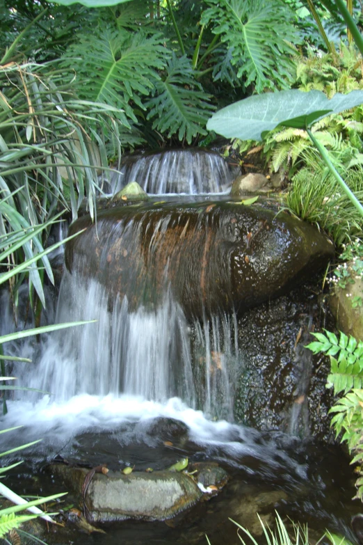 a waterfall that is near green plants and water