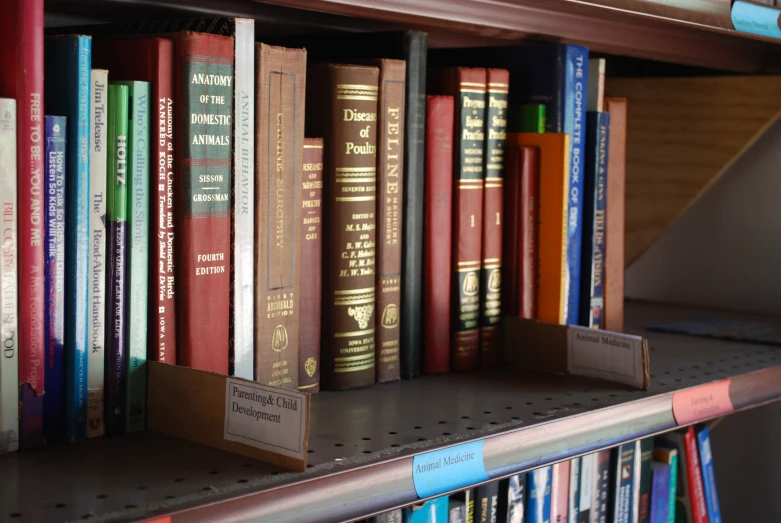 several books are arranged on a shelf near other books