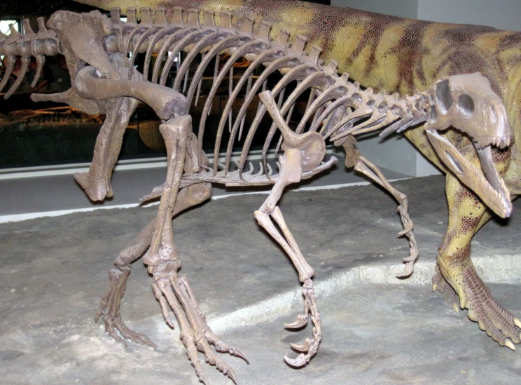 a big dinosaur skeleton on a floor in front of a building