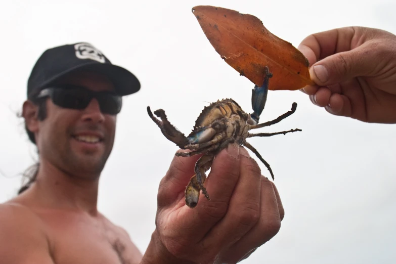 a person holding a crab and pointing it towards soing