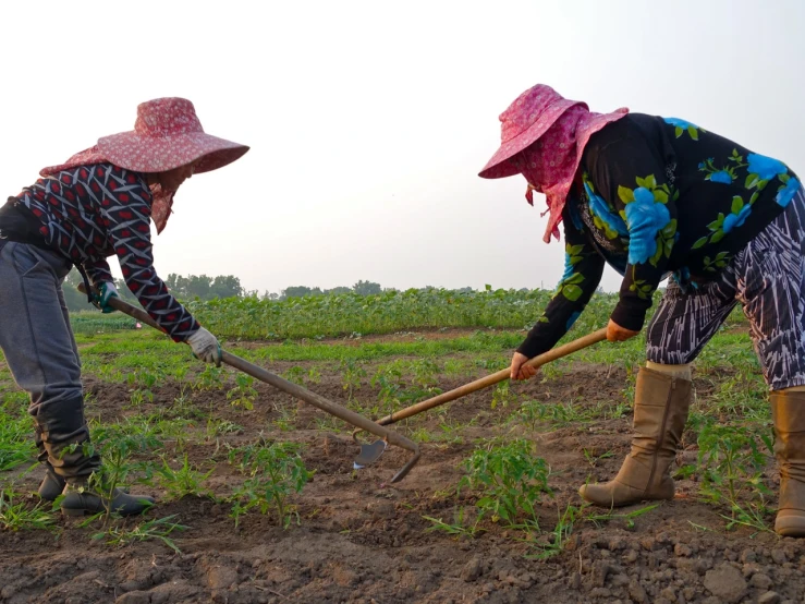 a couple of women in hats working on a field