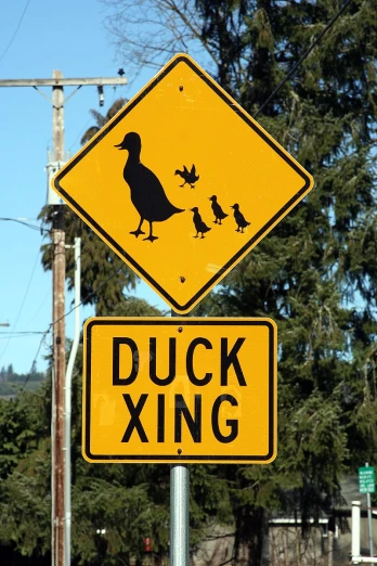 an image of a duck crossing sign with birds