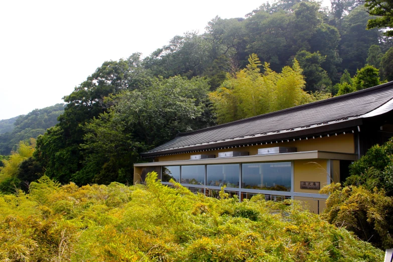 an old building and vegetation growing around it