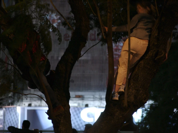 a girl up a tree while she is watching the other children
