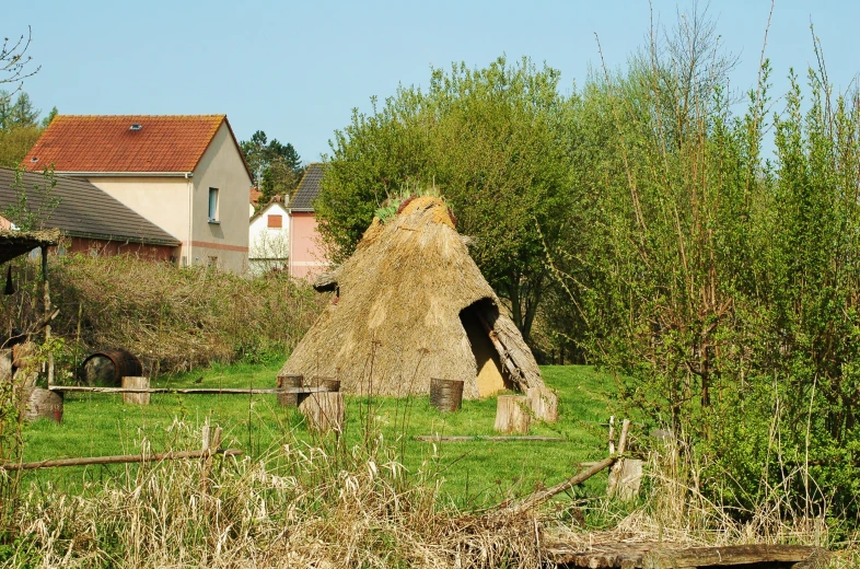 thatched roof houses are out in the woods