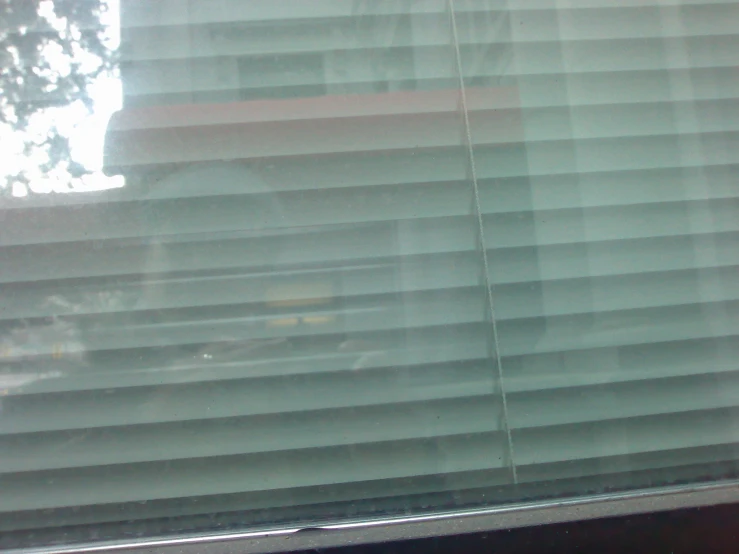 a cat sits behind the blinds of a glass