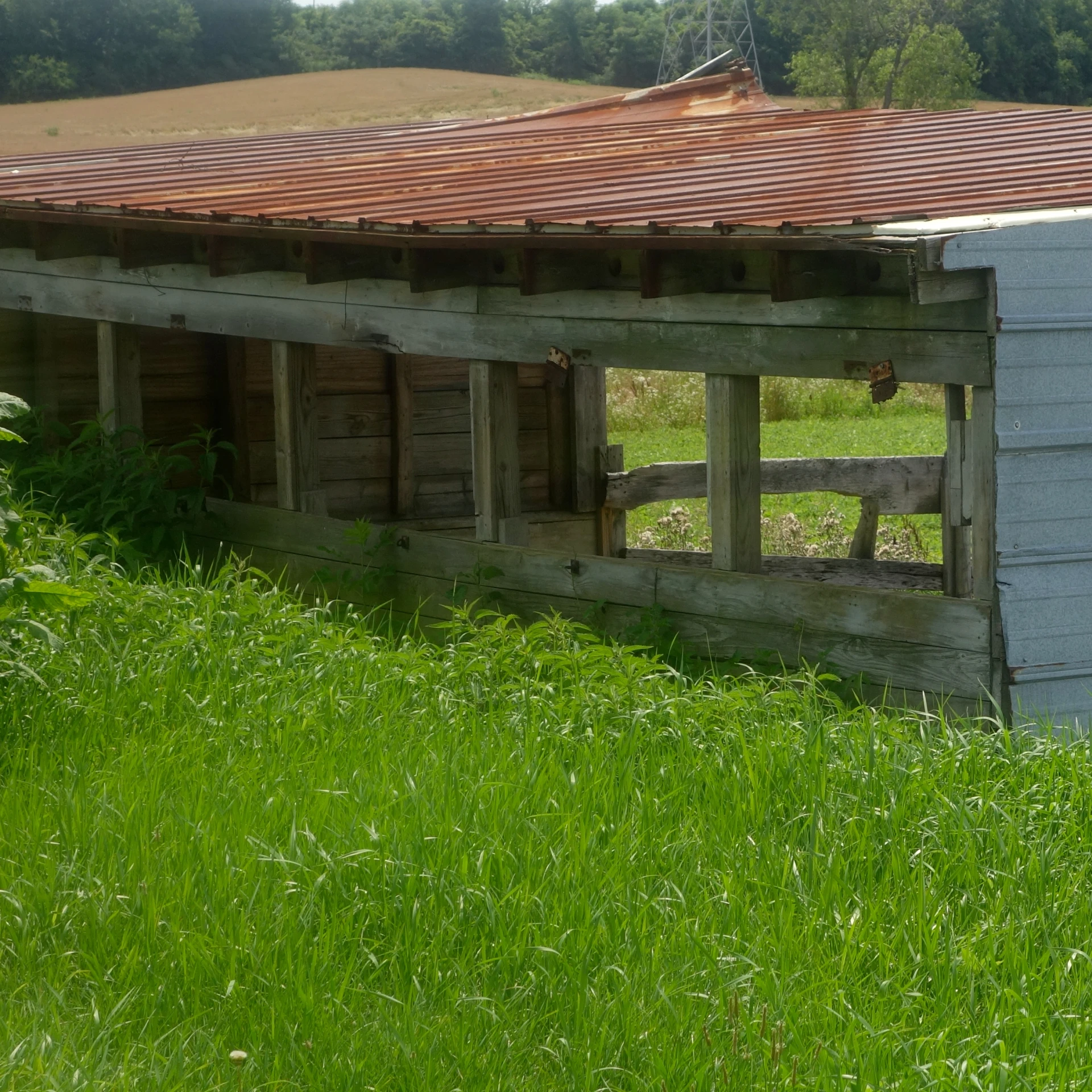 a wooden cabin with rusted roof standing on a lush green field