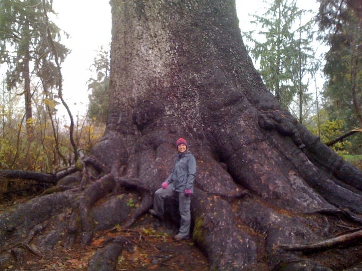 a  standing next to a large tree