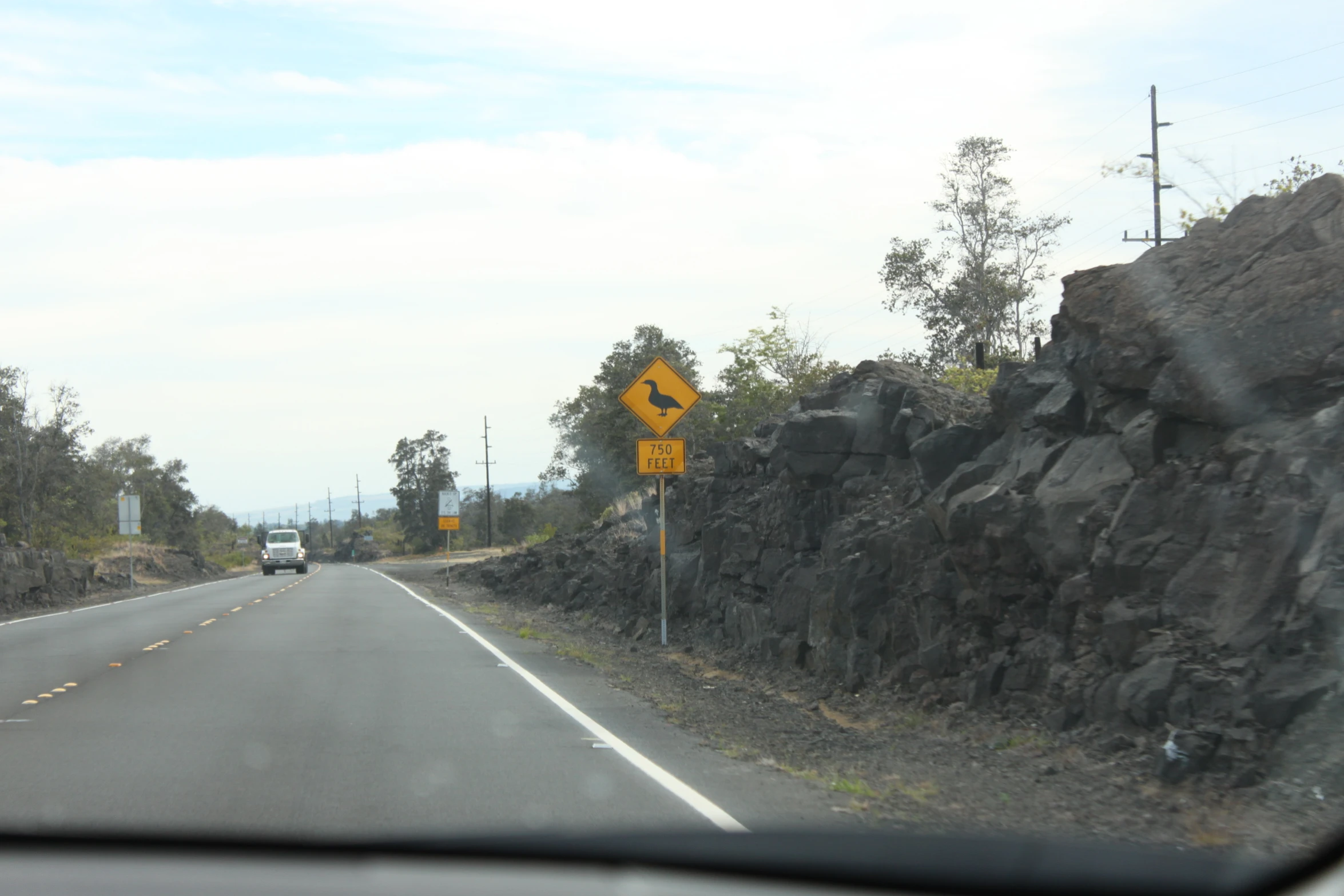 some rocks in the middle of the road