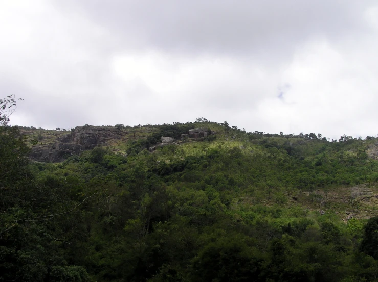 there is a hill in the distance and trees below