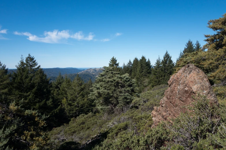 a mountain area with a group of trees on it