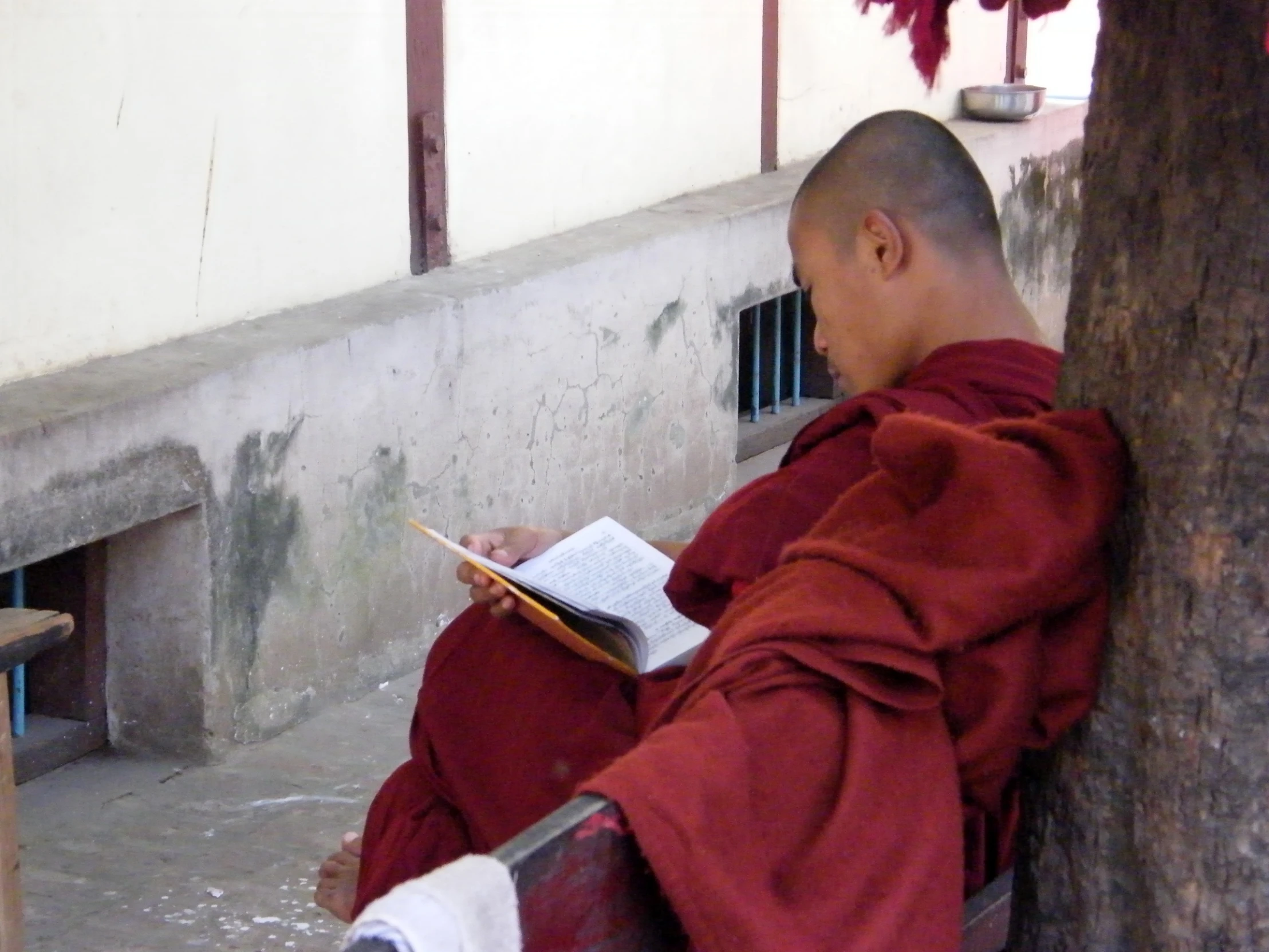 monk reading a book while sitting in a bench