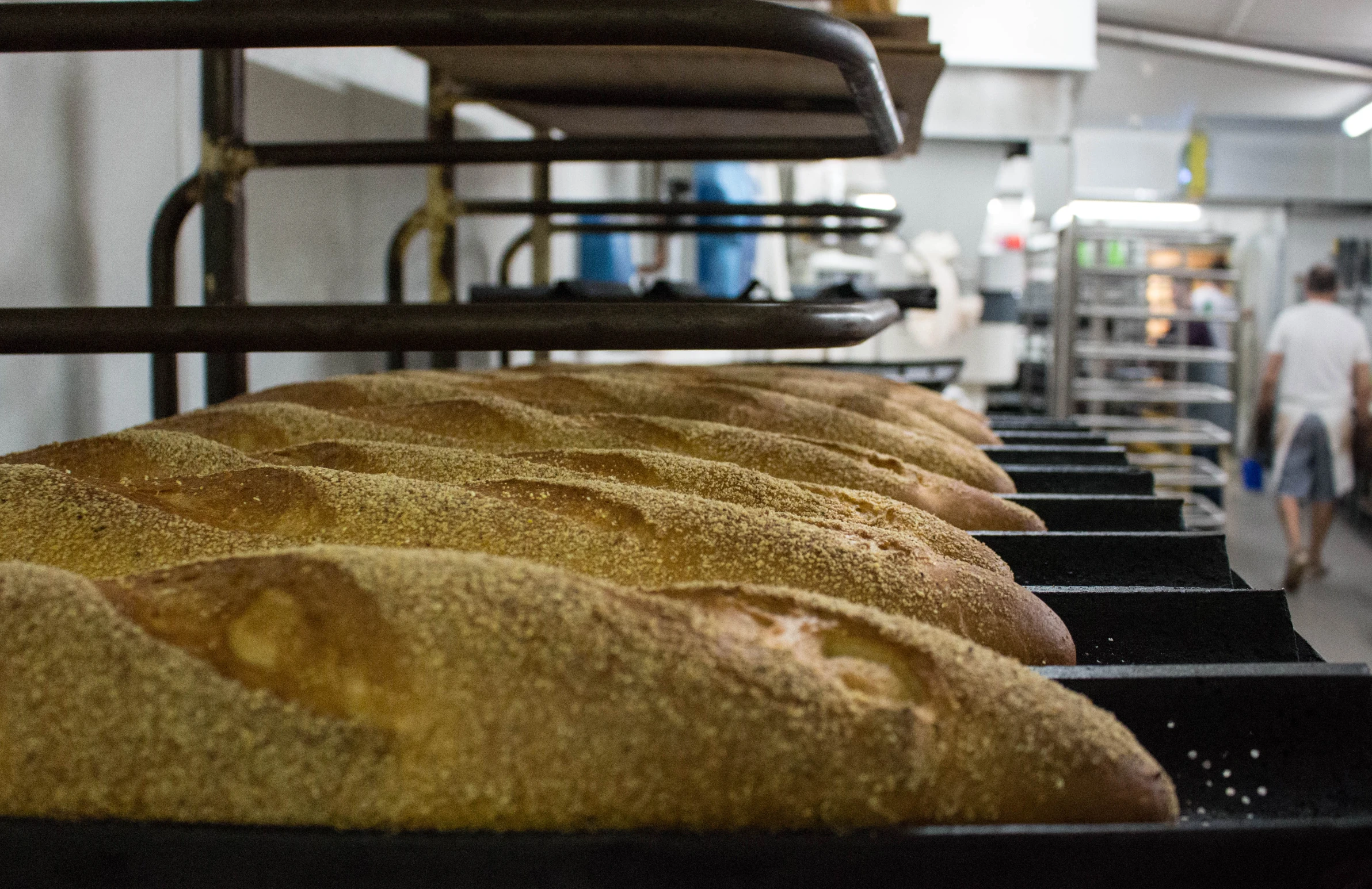 a long row of loaves of bread inside of a building