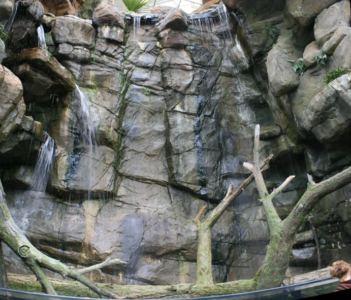 a man walking through a zoo enclosure with large rocks