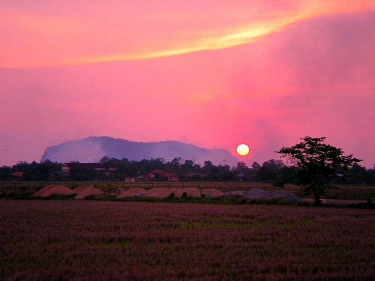 a field with a very bright red sun