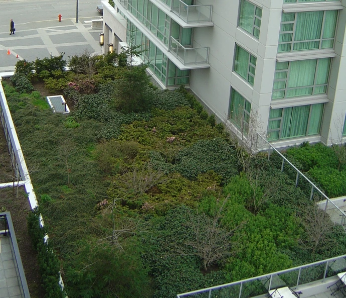 the vegetation growing on the roof of an office building