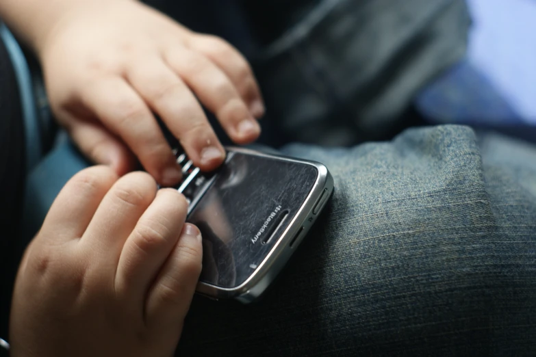 a person holds their cell phone in their hand