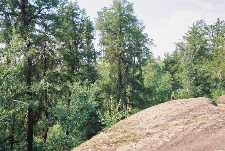 a bench on top of a large hill with trees