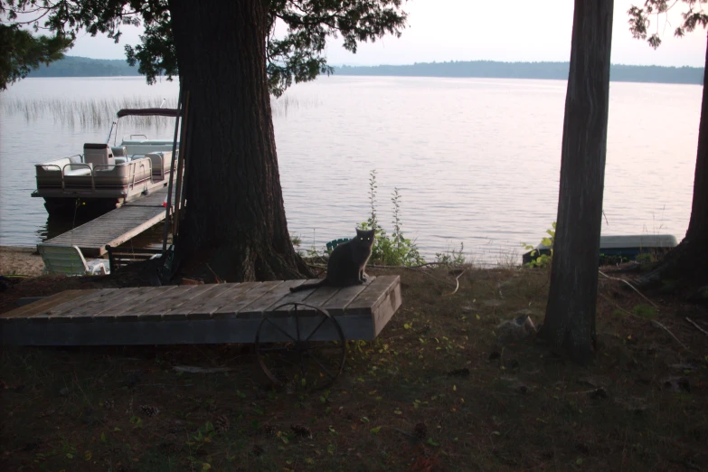 a boat sitting in the water next to a wooded area