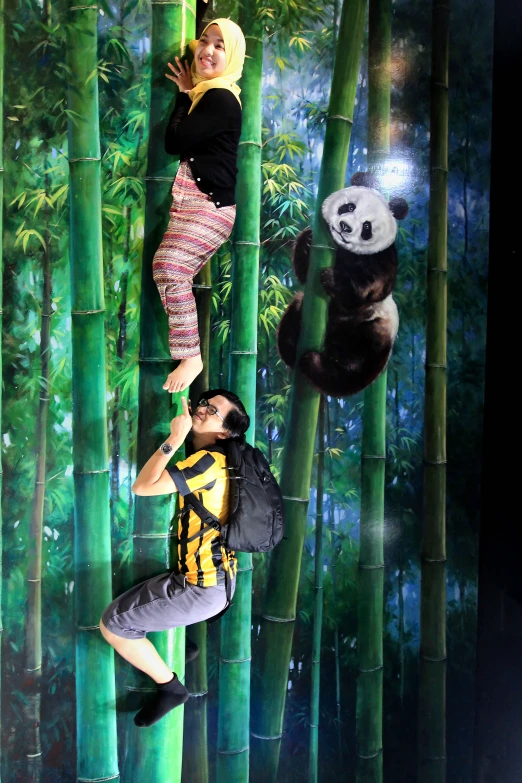 two people are standing in front of pandas in a bamboo forest
