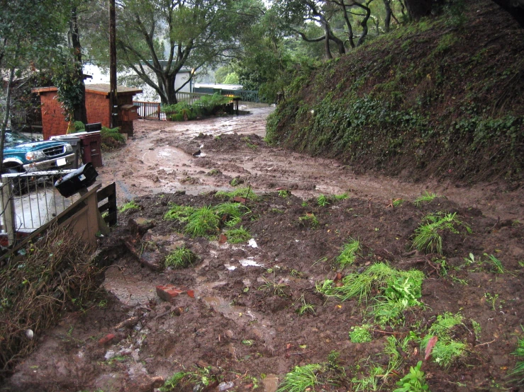 muddy and muddy path with trees and a car parked on one side