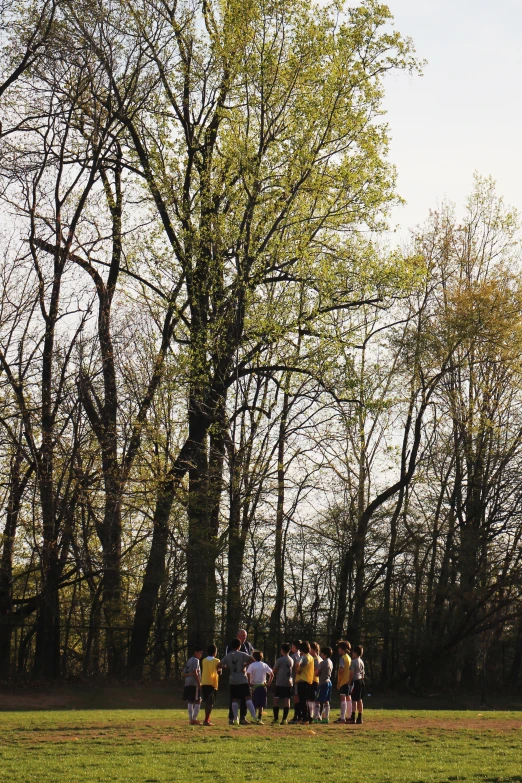 several people in the park having a good time