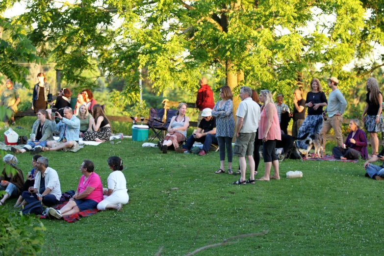 group of people are sitting on the grass by trees