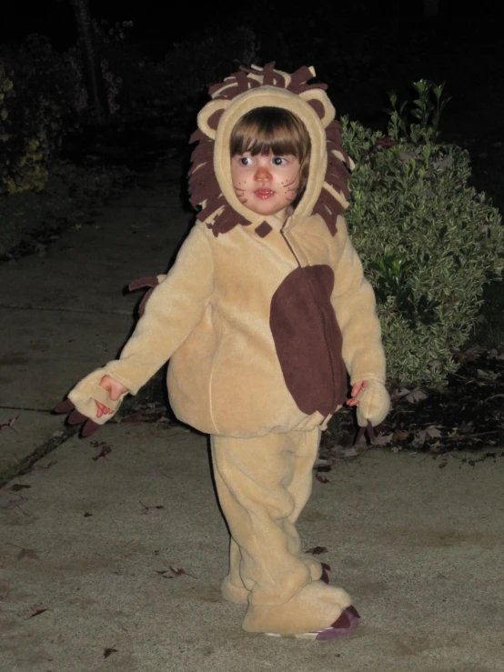 a little boy is dressed up like a lion